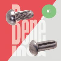 Rivet - Inox A1