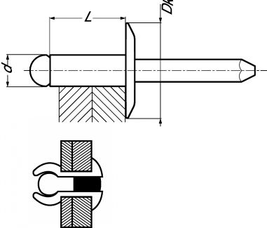 Blind rivet flage extra large head - stainless steel a2 inox a2 (Schema)