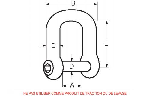 Forged straight shackle with hexagon socket head pin  - stainless steel (Schema)