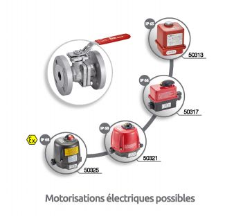 Vanne 2 pièces à brides avec platine ISO - motorisations électriques
