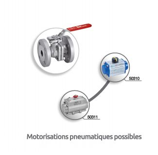 Vanne 2 pièces à brides avec platine ISO - motorisations pneumatiques
