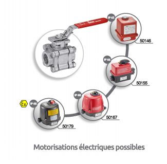 Vanne 3 pièces femelle / femelle Gaz - motorisations électriques