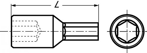 Magnetic bit for hexagonale head - steel (Schema)