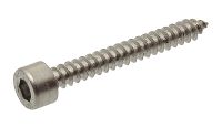 Hexagon socket head self tapping screw - stainless steel a2 inox a2