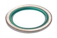 BAGUE BS POUR UNION MÂLE CYLINDRIQUE Inox / FKM (Modelo : 5460)