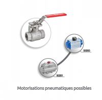 Vanne 2 pièces ATEX femelle / femelle Gaz - motorisations pneumatiques