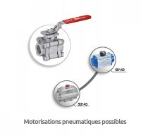 Vanne 3 pièces femelle / femelle Gaz - motorisations pneumatiques