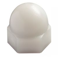 Hexagon cap nut - plastic p.a 6.6 - din 1587 plastique p.a  6.6 - din 1587