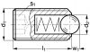 Spring plunger - stainless steel (Schema)