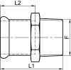 Raccord femelle à sertir / filetage Gaz conique - Schéma