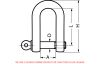 Manille droite forgée - inox a4 (Diagrama)