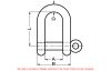 Forged straight shackle with captive pin (Schema)