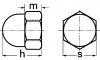 Hexagon cap nut - plastic p.a 6.6 - din 1587 plastique p.a  6.6 - din 1587 (Schema)