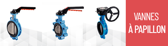 Butterfly valves - BENE INOX