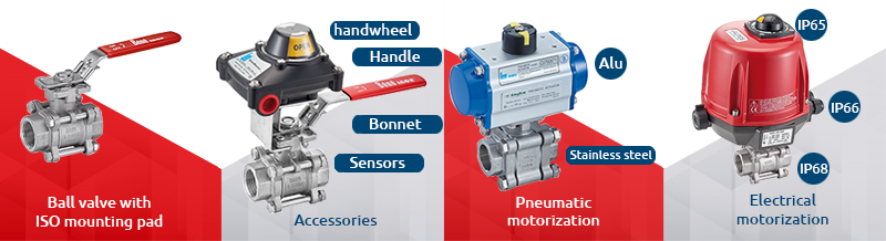 CUSTOMISING VALVES WITH ISO MOUNTING PLATES - Béné inox