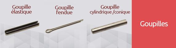 Goupilles - BENE INOX