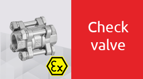 image-check-valve