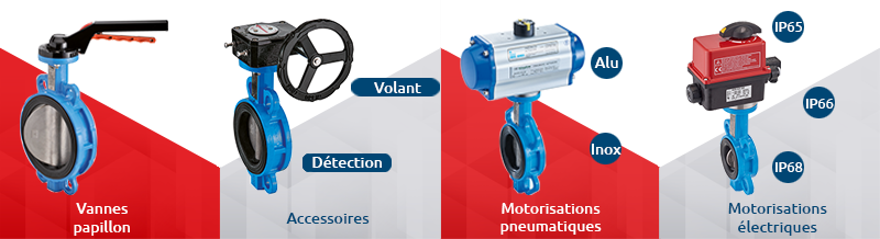 Personnalisation des vannes à papillon