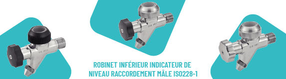 robinet male bspp